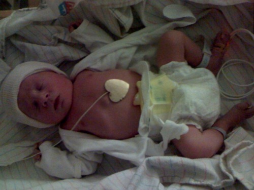Newborn Picture