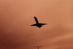 A Few Weekend Photos