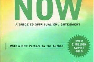 New Book: The Power of Now by Eckhart Tolle