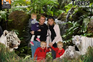White Tigers at Navy Pier