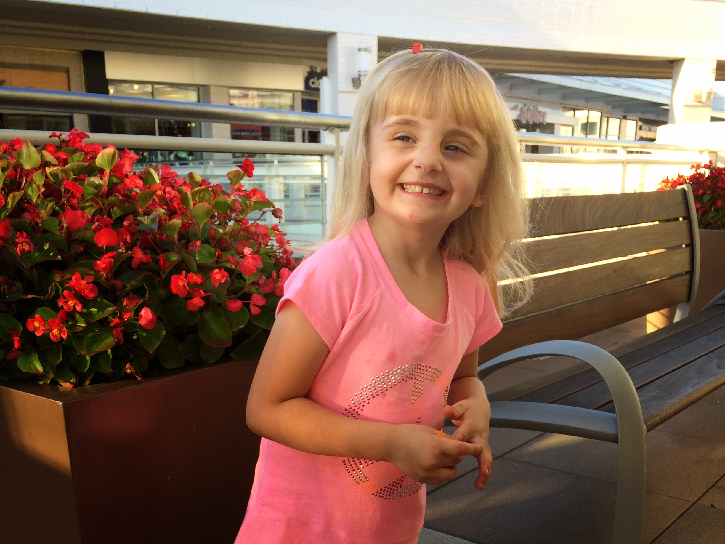 The Pretty Princess Haircut