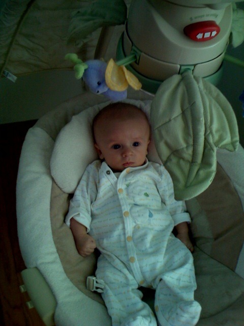 The swing lost its appeal once the batteries died. 